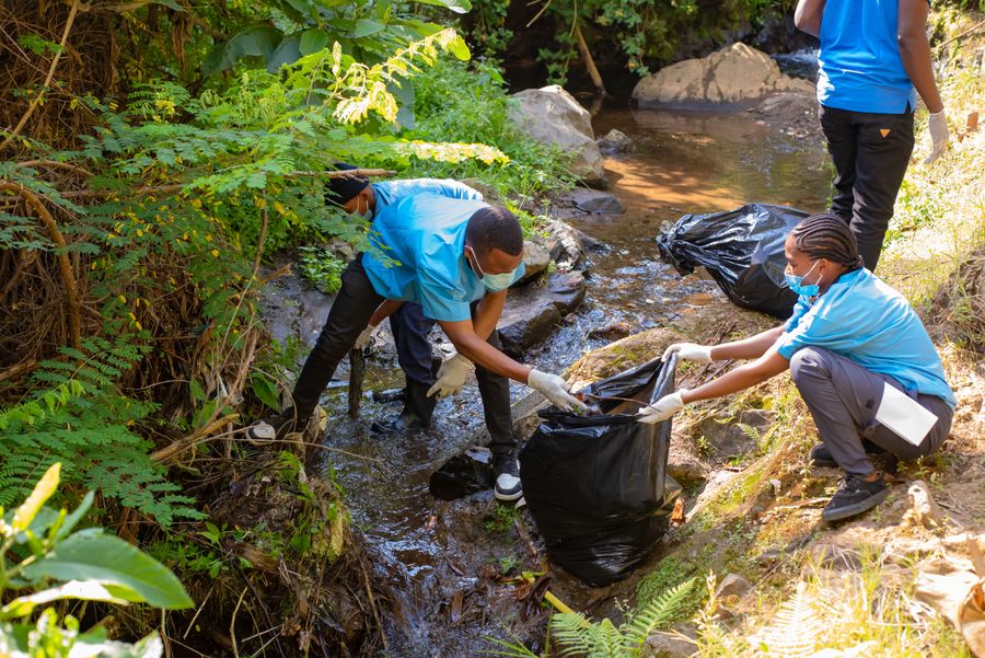 Volunteers bagging waste pulled from a riverbank during a KIWI catchment restoration day