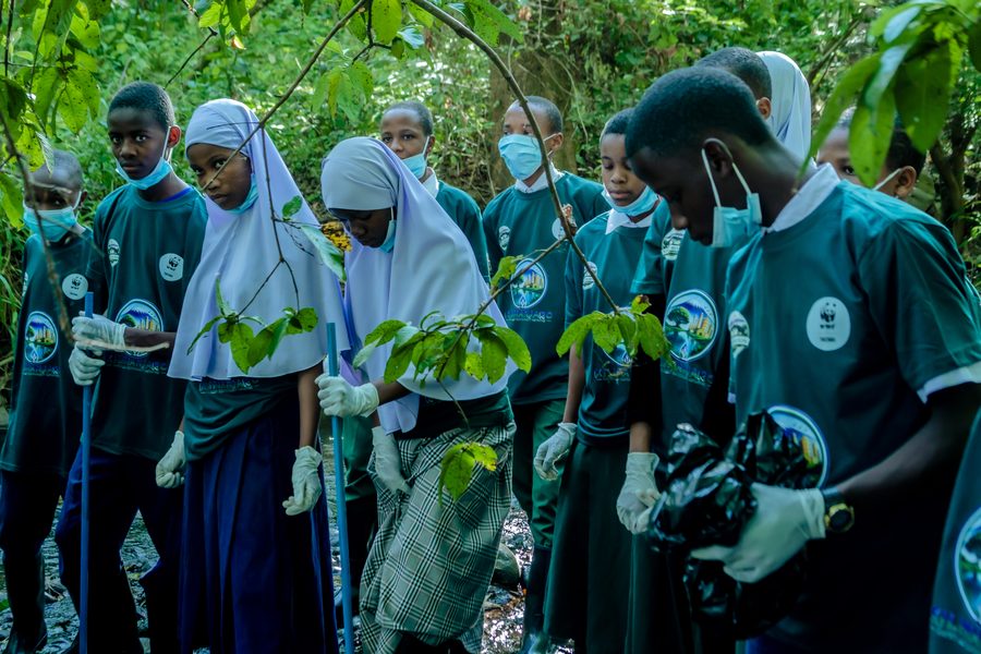 Students holding seedlings during a catchment restoration session under the trees