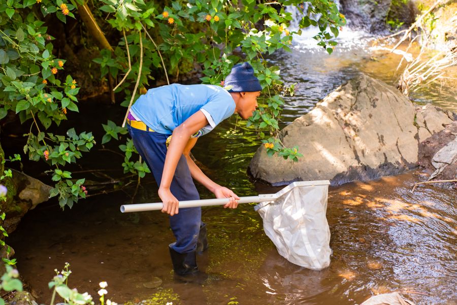 A student in a KIWI t-shirt using a sampling net midstream to collect a water quality sample